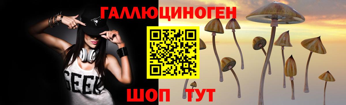 купить   Галлюциногенные грибы MAGIC MUSHROOMS  Вход с VPN  Майкоп 